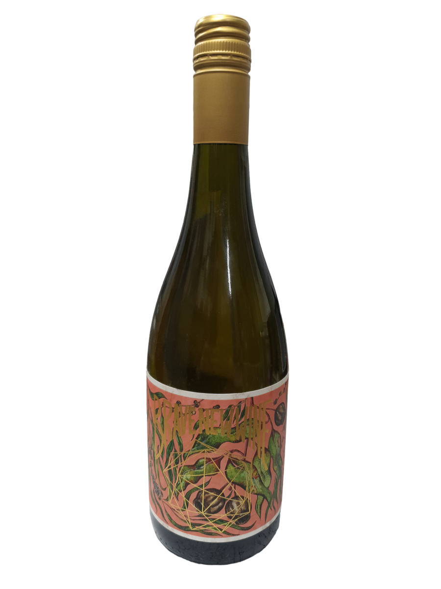 Brave New Wine Bouche Bush Vine Riesling 750ml – Liquor Shed