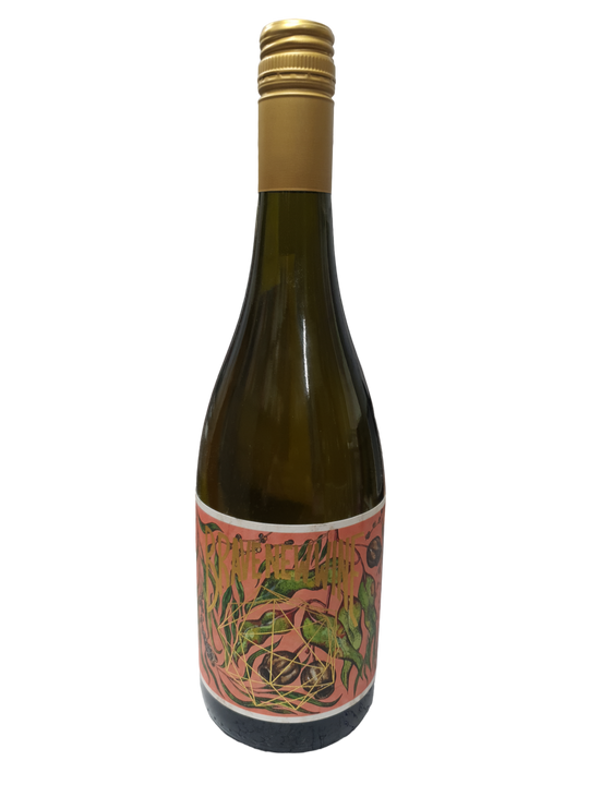 Brave New Wine Bouche Bush Vine Riesling 750ml